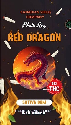 Red Dragon