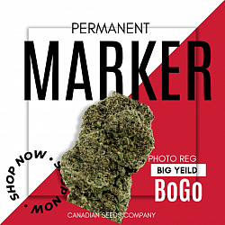 Per Marker