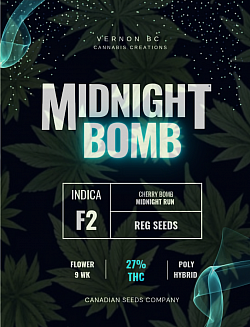 Midnight Bomb