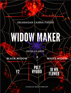R28 -- Widow Maker