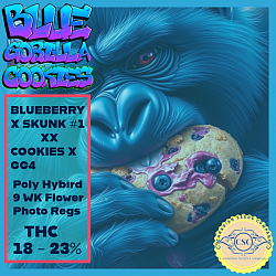 Blue Gorilla Cookies