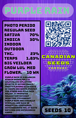 R27 -- Purple Rain - 2 left