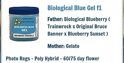Bio Blue Gel
