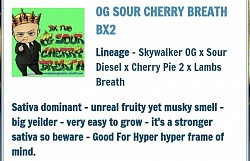 OG Sour Cherry Pie 2 left
