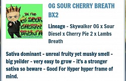 R38 -- OG Sour Cherry Pie 2 left