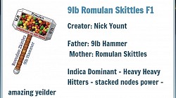 R36 -- 9lb Rom Skittles-- 2 left