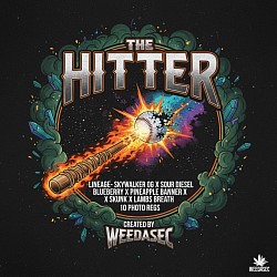The Hitter