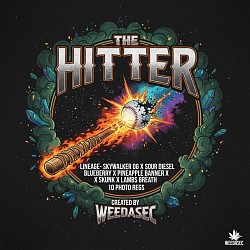 R 11 -- The Hitter 1left