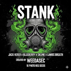 The Stank