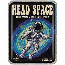 Head Space