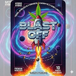 Blast Off