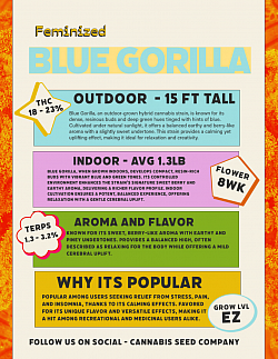 Blue Gorilla sold out back in the end of 2026