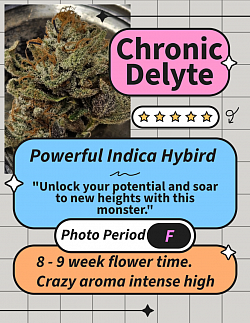 Chronic Delyte