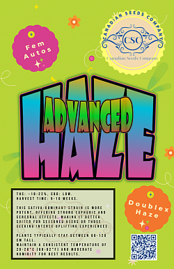 ADVANCED HAZE sold out