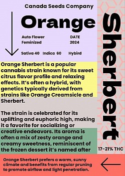 SHERBERT