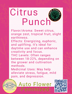 Citus Punch