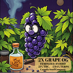 2x Grape