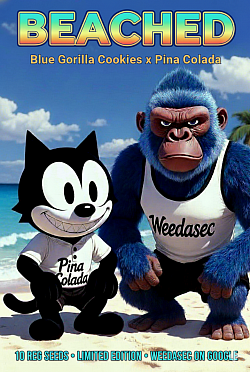 Beached f1-- only2 left