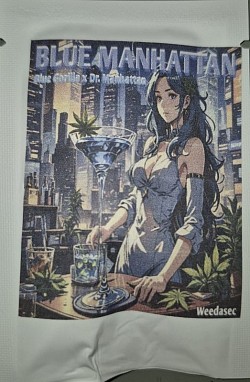 BLUE MANHATTEN 2