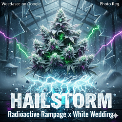 Hail Storm   - R1