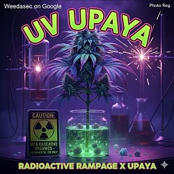 Uv Upaya -R2- 1 left