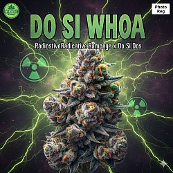 R7 -- DO SI WHOA -- 1 left