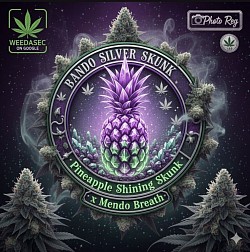 Silver Skunk - 1 left