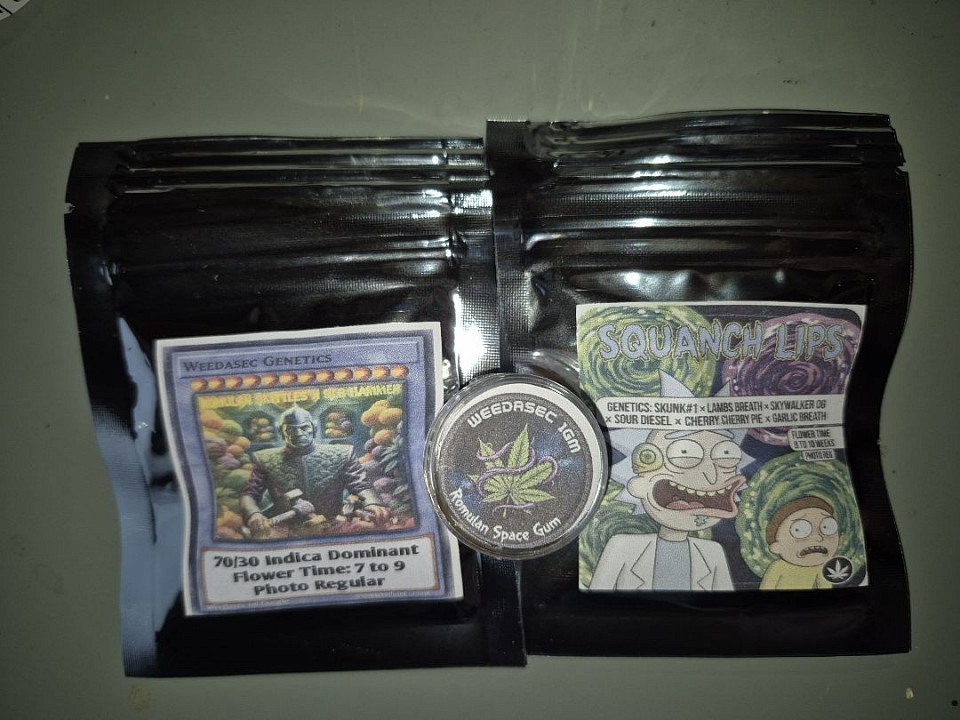 2 random packs - 1gm Sugar Wax Diamonds or 1gm Live Resin  - $60ea - limit 3 per order