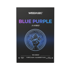 R21 -- Blue - Purple - 4 left