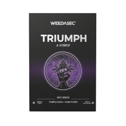 R25 -- Triumph - 4 packs left