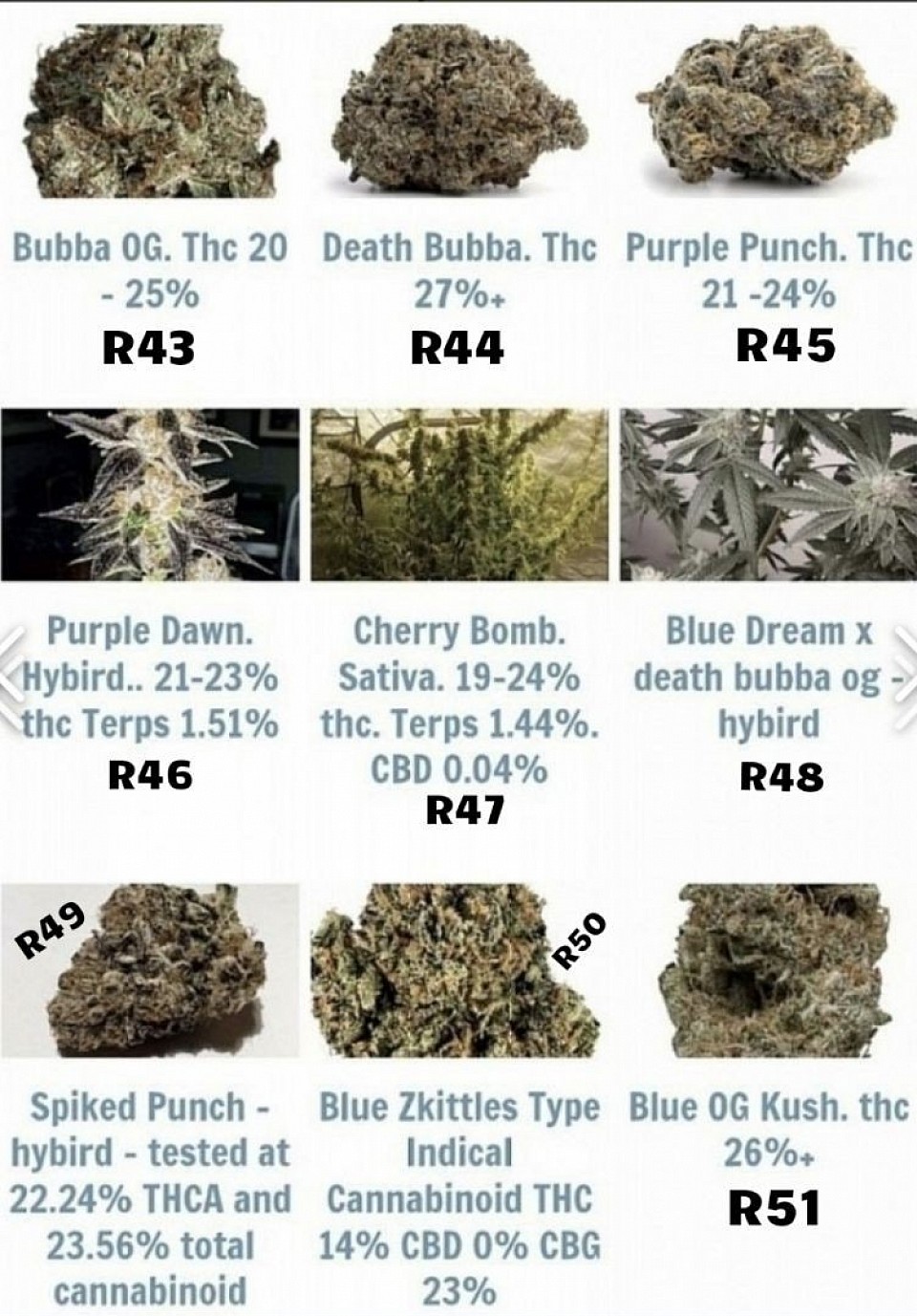 Available in bulk R43 - 51