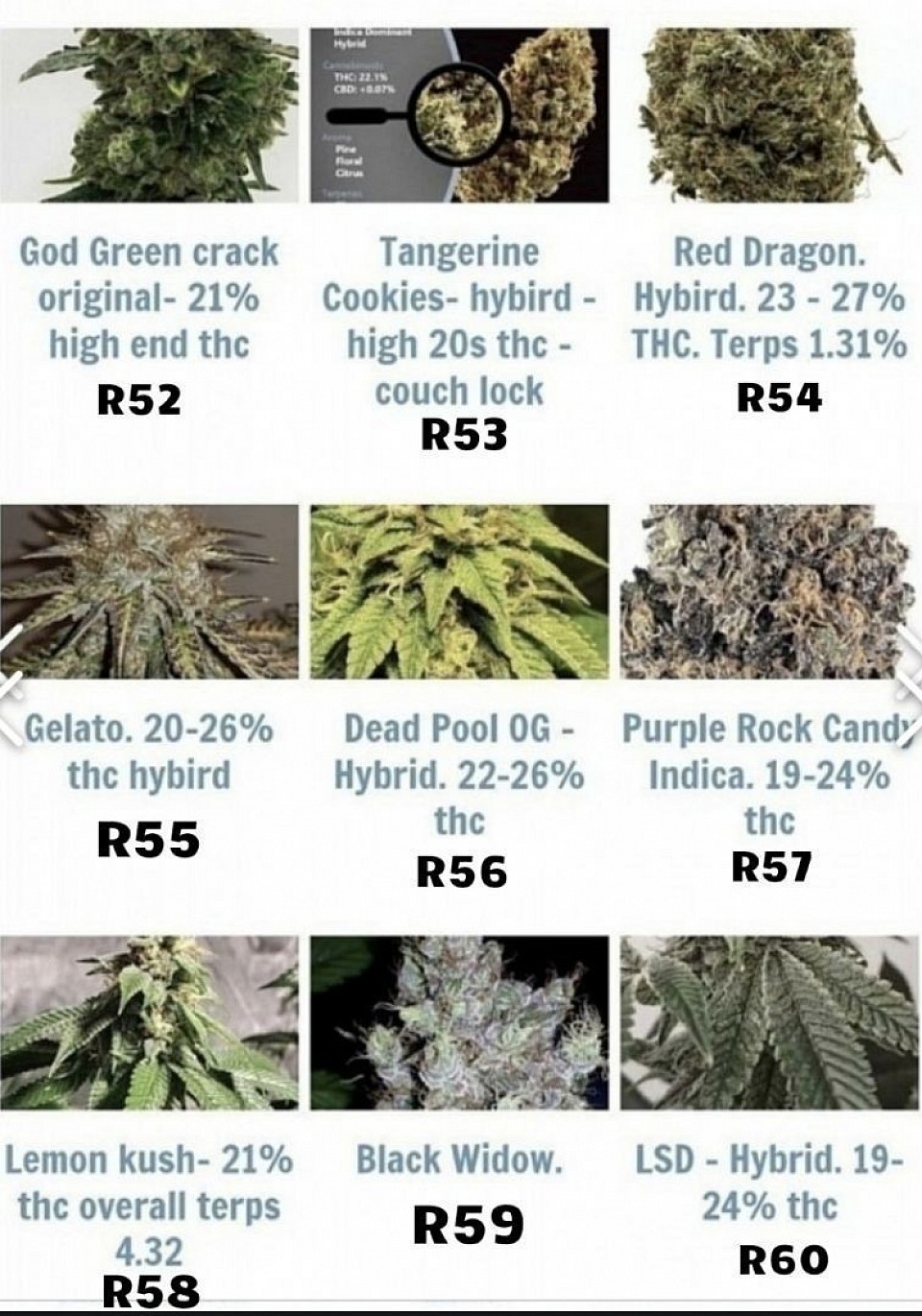 R43 to R60 are available in bulk - 1000 seeds for $100